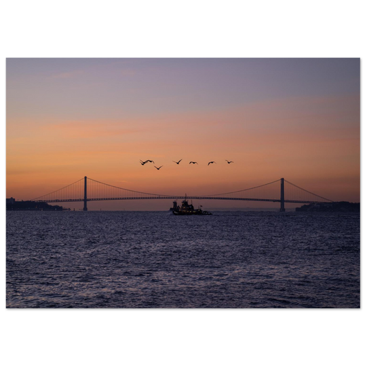 8732a033-9f08-4cad-9afa-5fcaba7e55ee