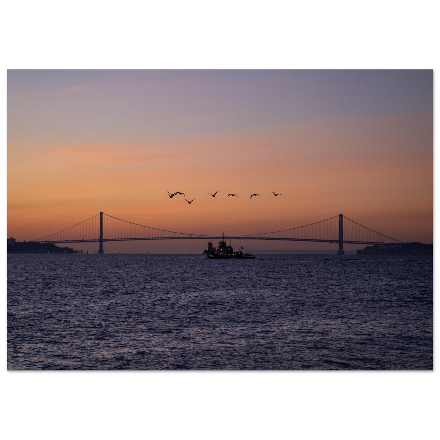 d5085d13-3a2c-483b-8920-d07a14fcf86e