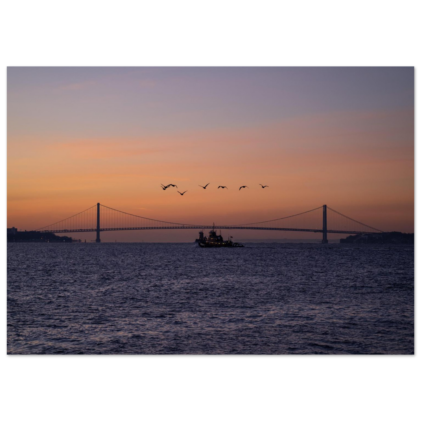 03b6c718-3ec9-47ef-9e77-803418d07133