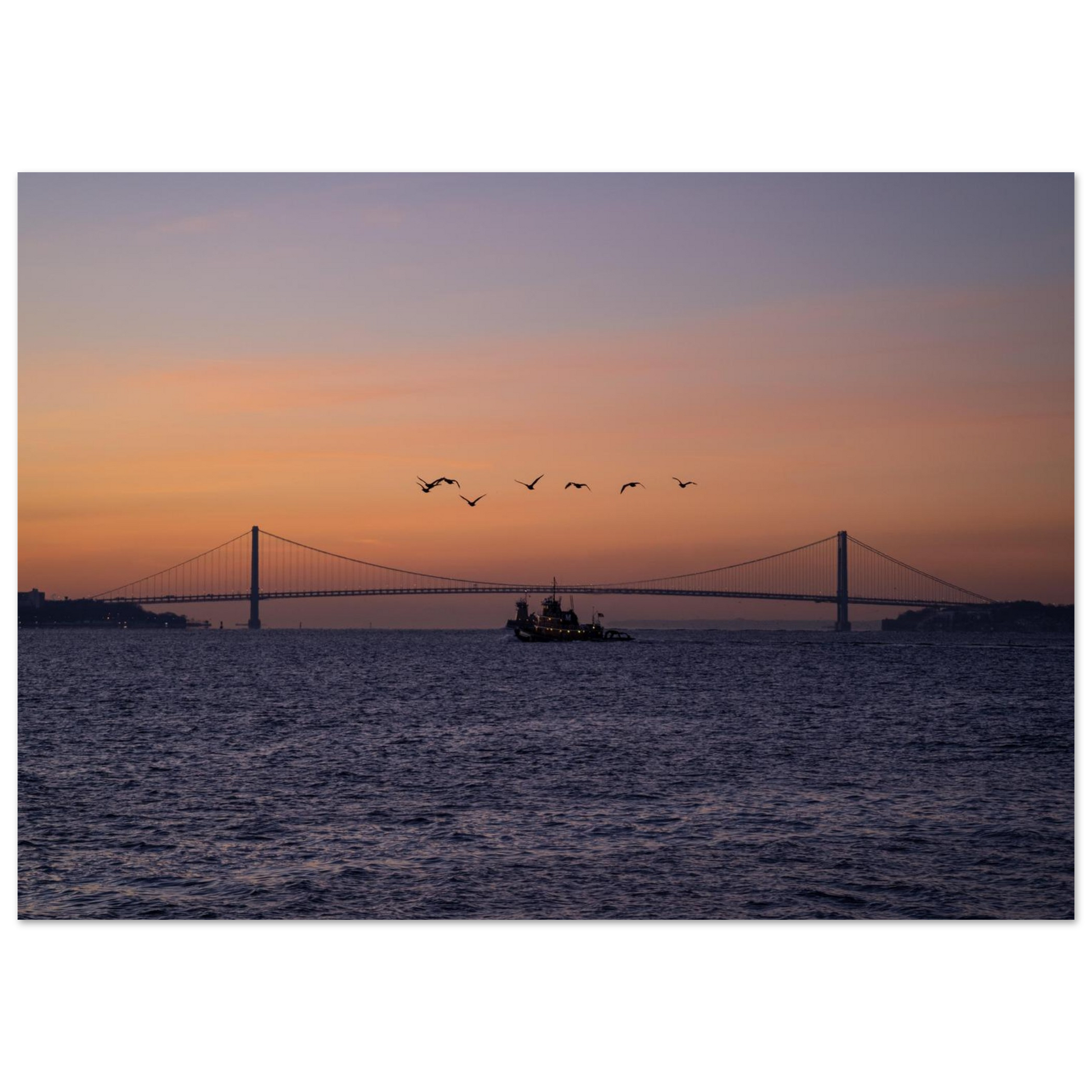 03b6c718-3ec9-47ef-9e77-803418d07133