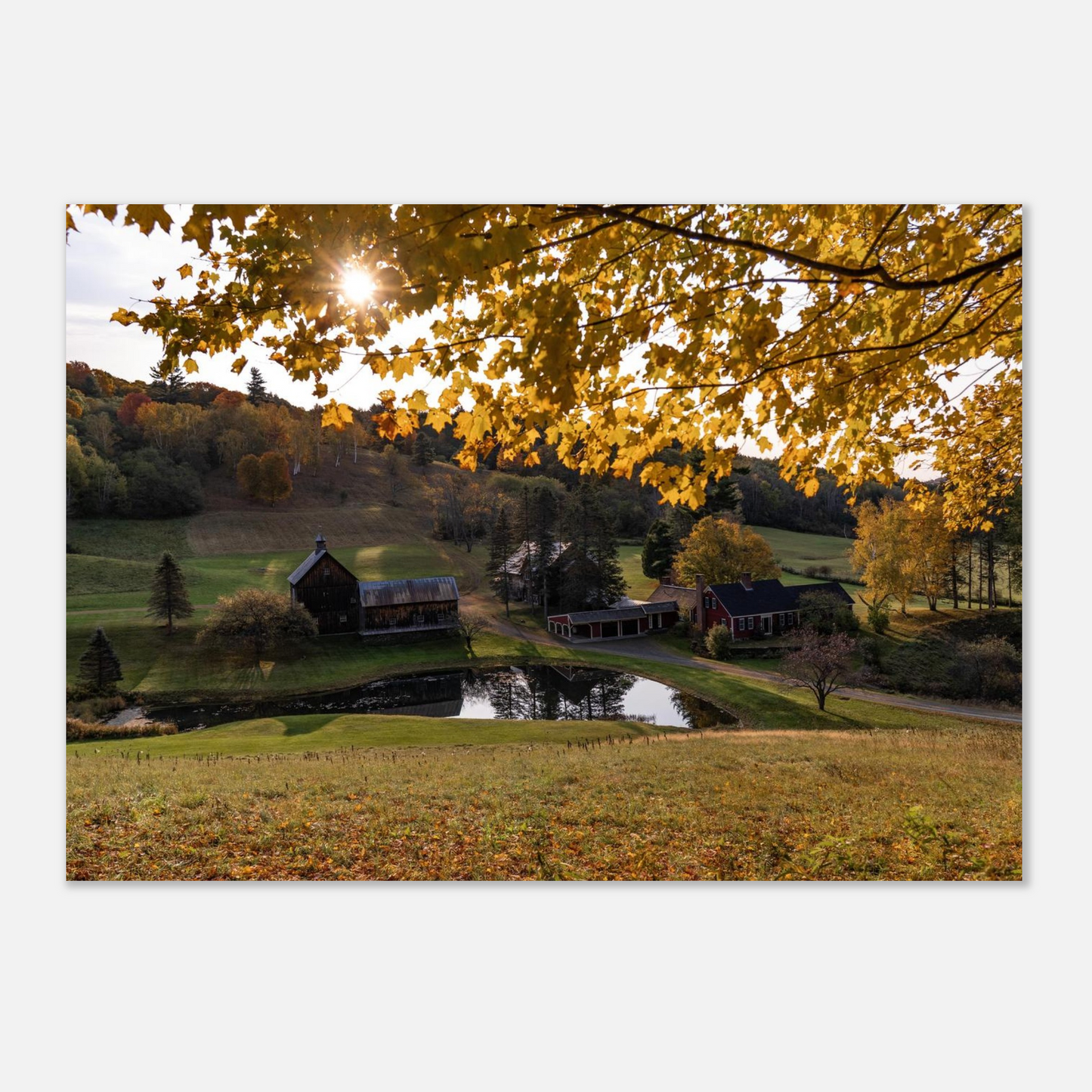 09409655-5033-4538-9f42-ddab55b9d6cc