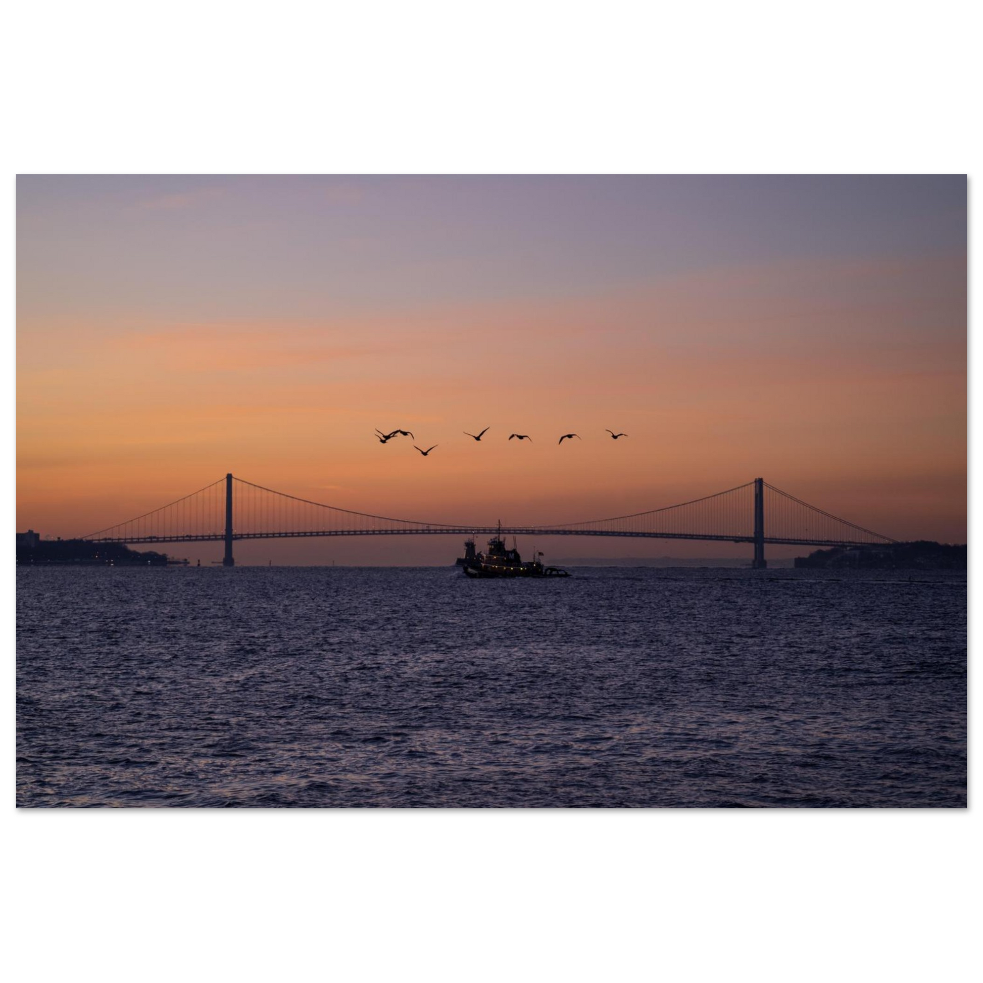 1d63ef82-8841-4b62-95f8-aab5e7b7b2fc
