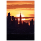 47e79746-c57f-49ea-b9f1-cc1b072c381b