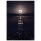 62a33472-b428-4f84-932b-e73f32d20b63