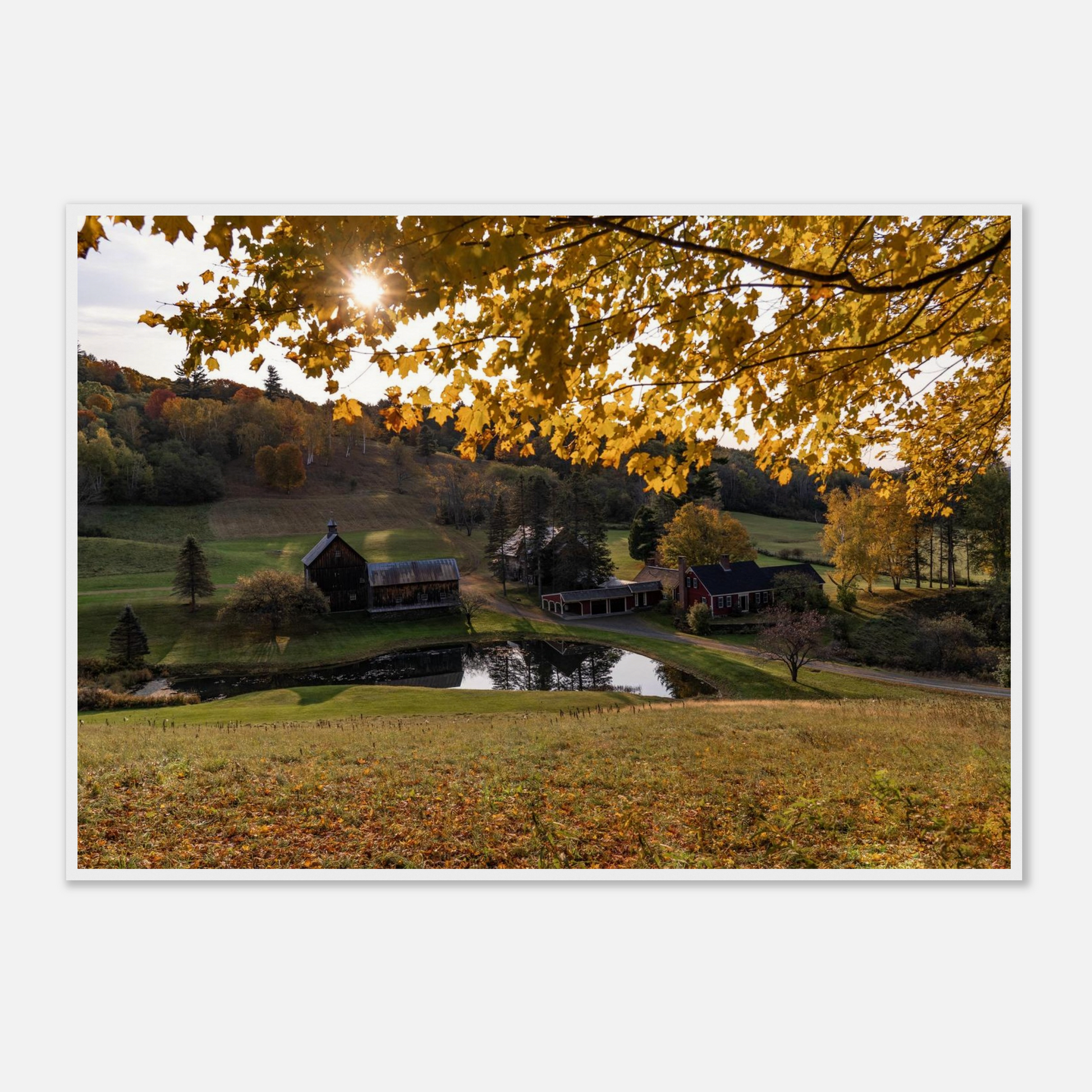 6ffaa538-7281-47ff-98ba-213e36691398