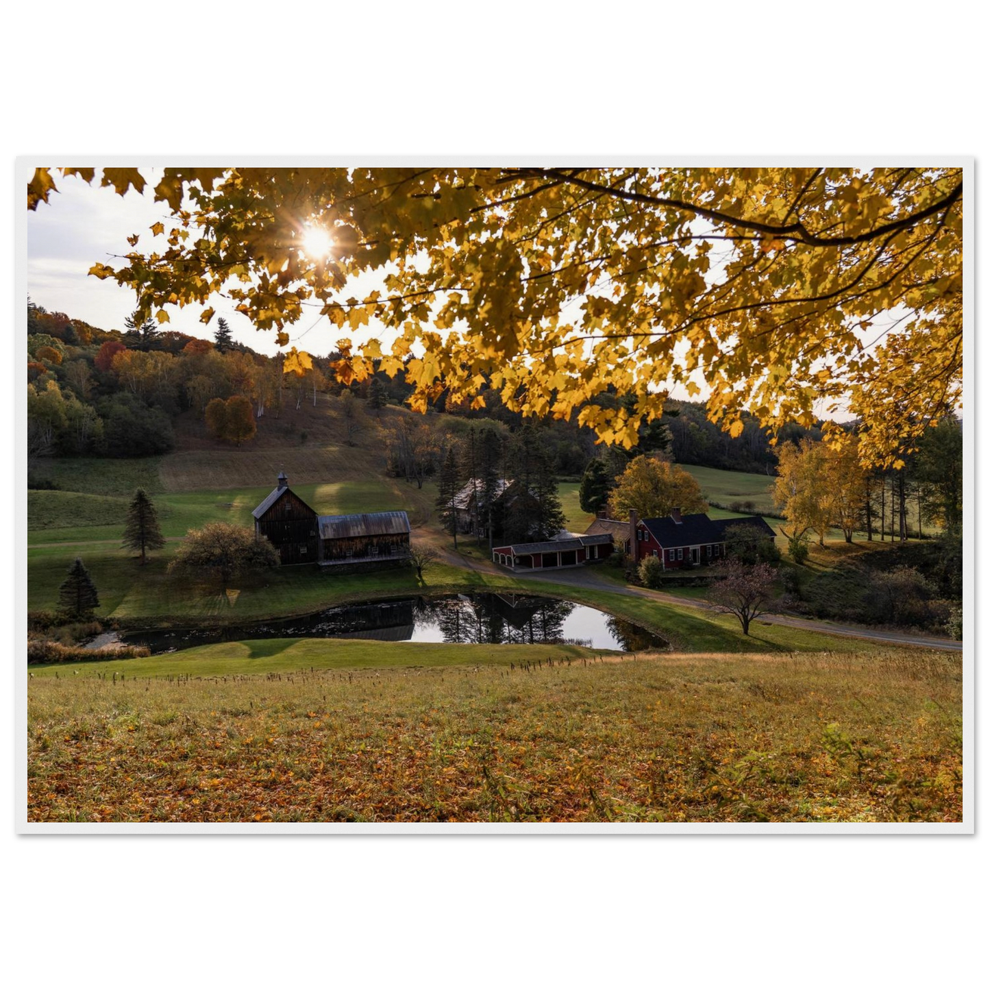 75d24524-fdd6-4aeb-ad6f-368bedb35b96