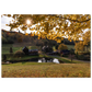 80a7e273-dba4-4816-bca7-3897496e0df3