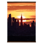 972fcb2e-0d1c-4746-a87f-739cddac2560