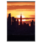 a8ed4088-3358-49c9-8155-986e944b3f1c