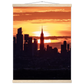 c180d305-7395-4657-8be4-787c9e3545d5