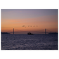 d264ab25-2129-49a2-9c48-d388e2957c6e