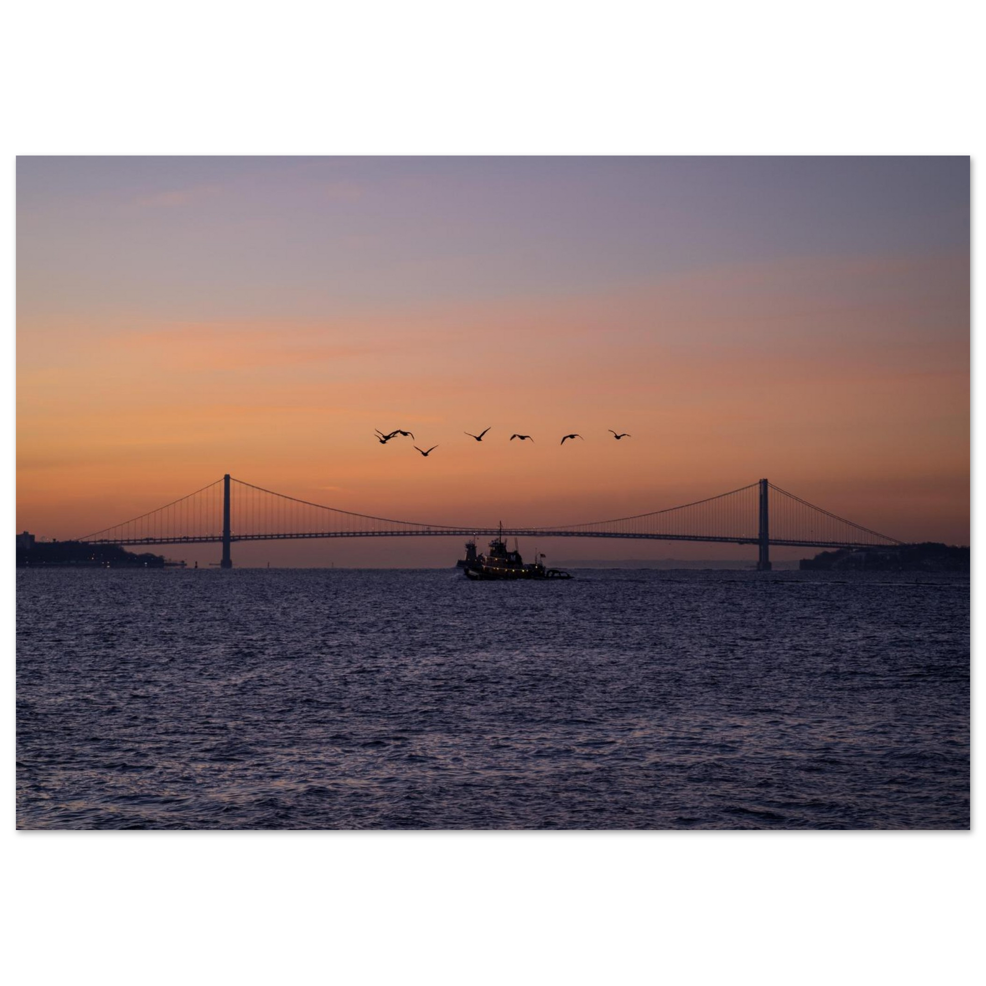 d5085d13-3a2c-483b-8920-d07a14fcf86e
