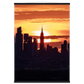 dc4c9f81-69c9-48d8-a7f9-a30d9002667a